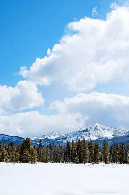 stanley outdoor timer instructions