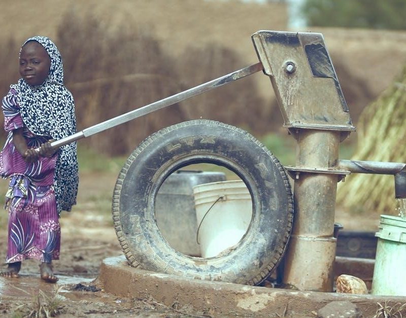 lansinoh manual pump parts