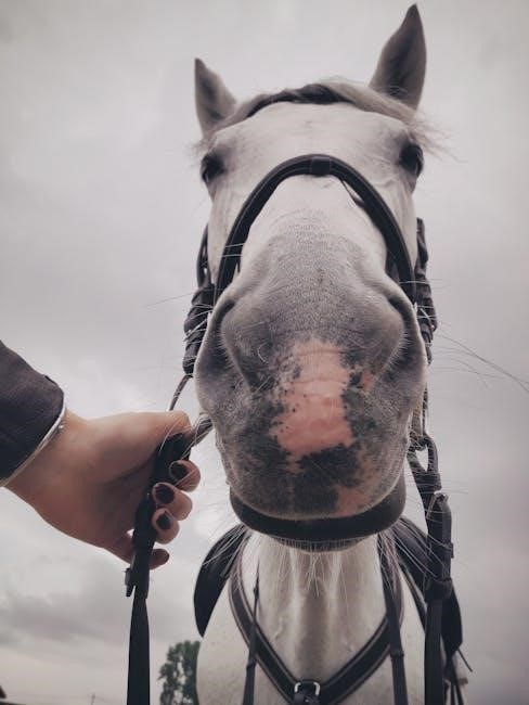 vax dual power pet advance instructions