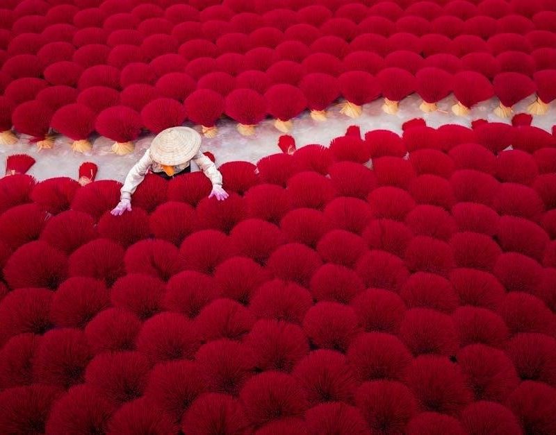 homelabs dehumidifier manual