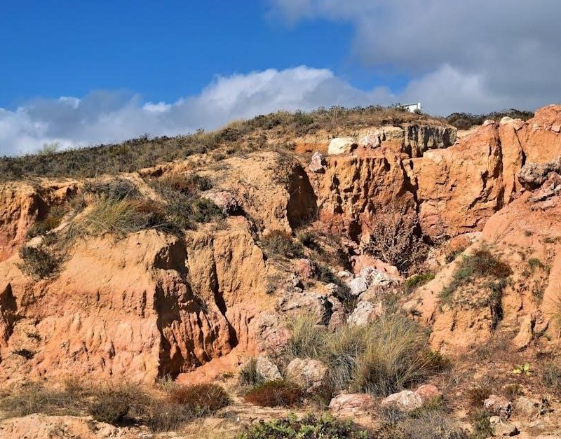 jbl speaker user guide