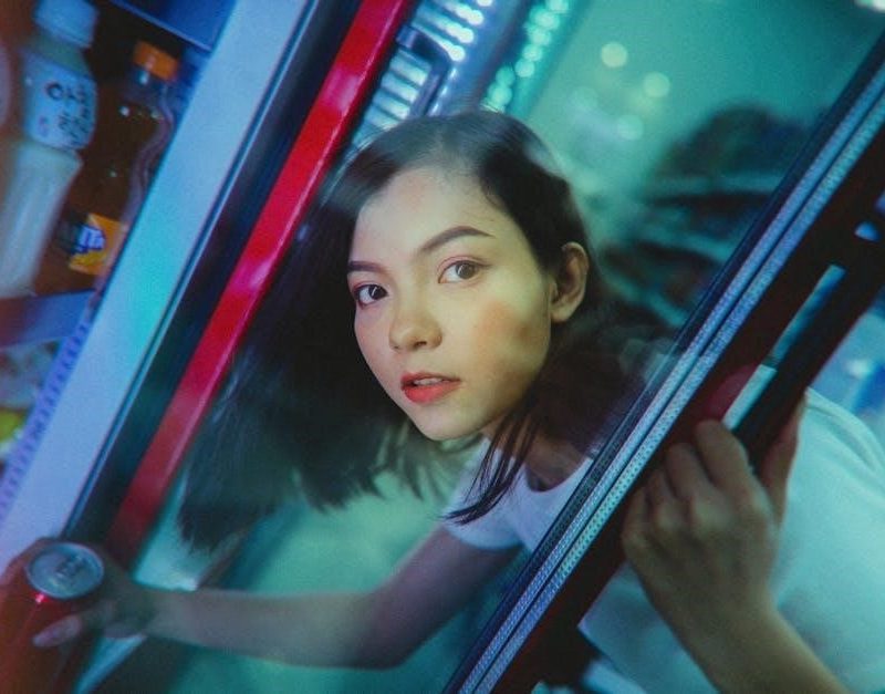 ever chill refrigerator manual