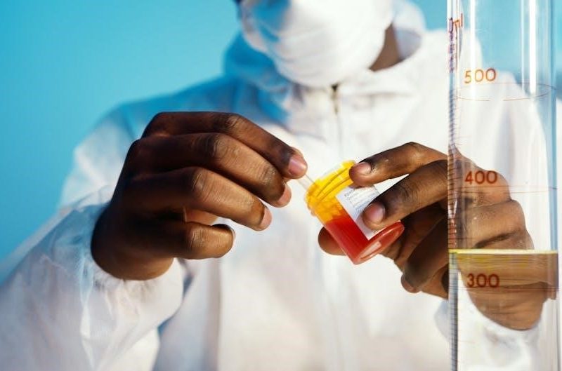 stanford binet test sample pdf