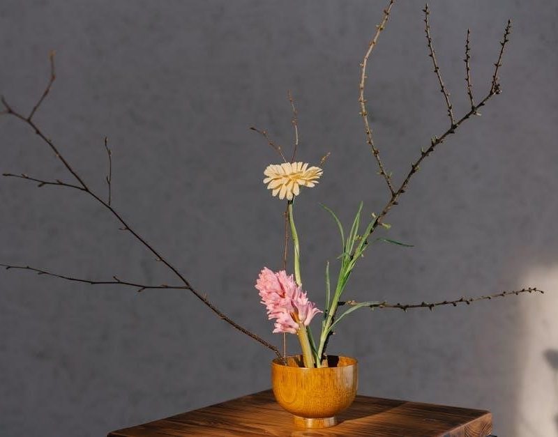 canadian human resource management 13th edition free pdf