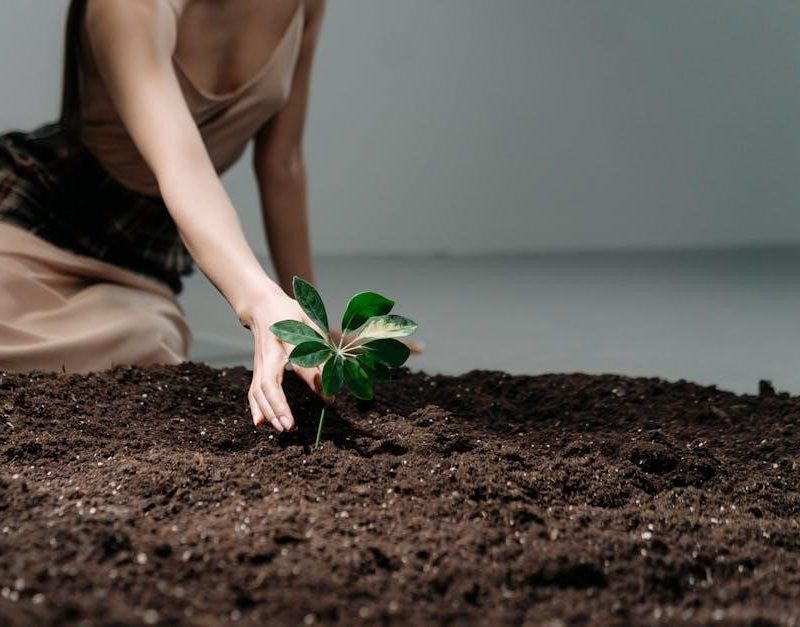 life-span development 18th edition pdf