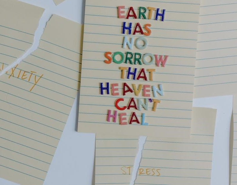 the life recovery bible pdf download