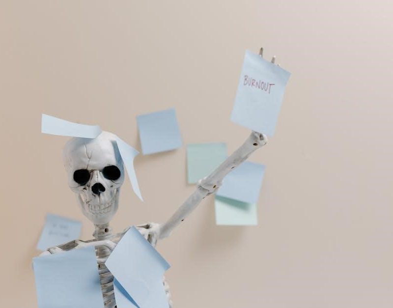 xxn abbreviation list 2023 pdf download