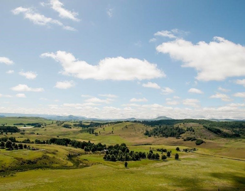 hills biome feeding guide