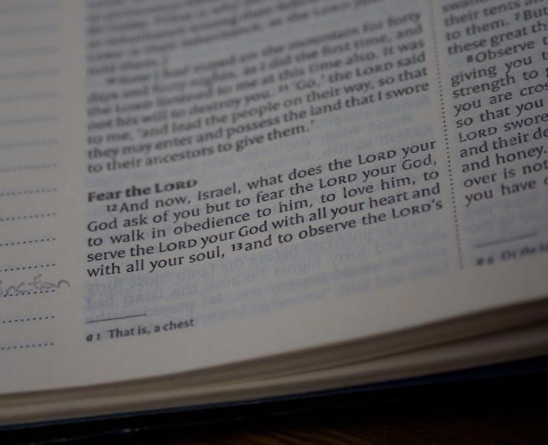 biblical commentary pdf